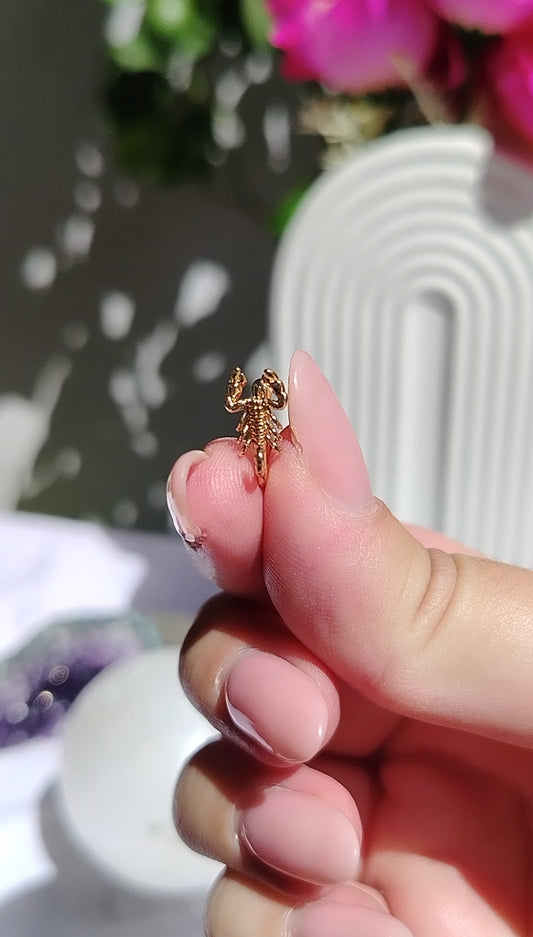 Piercing scorpione a clip