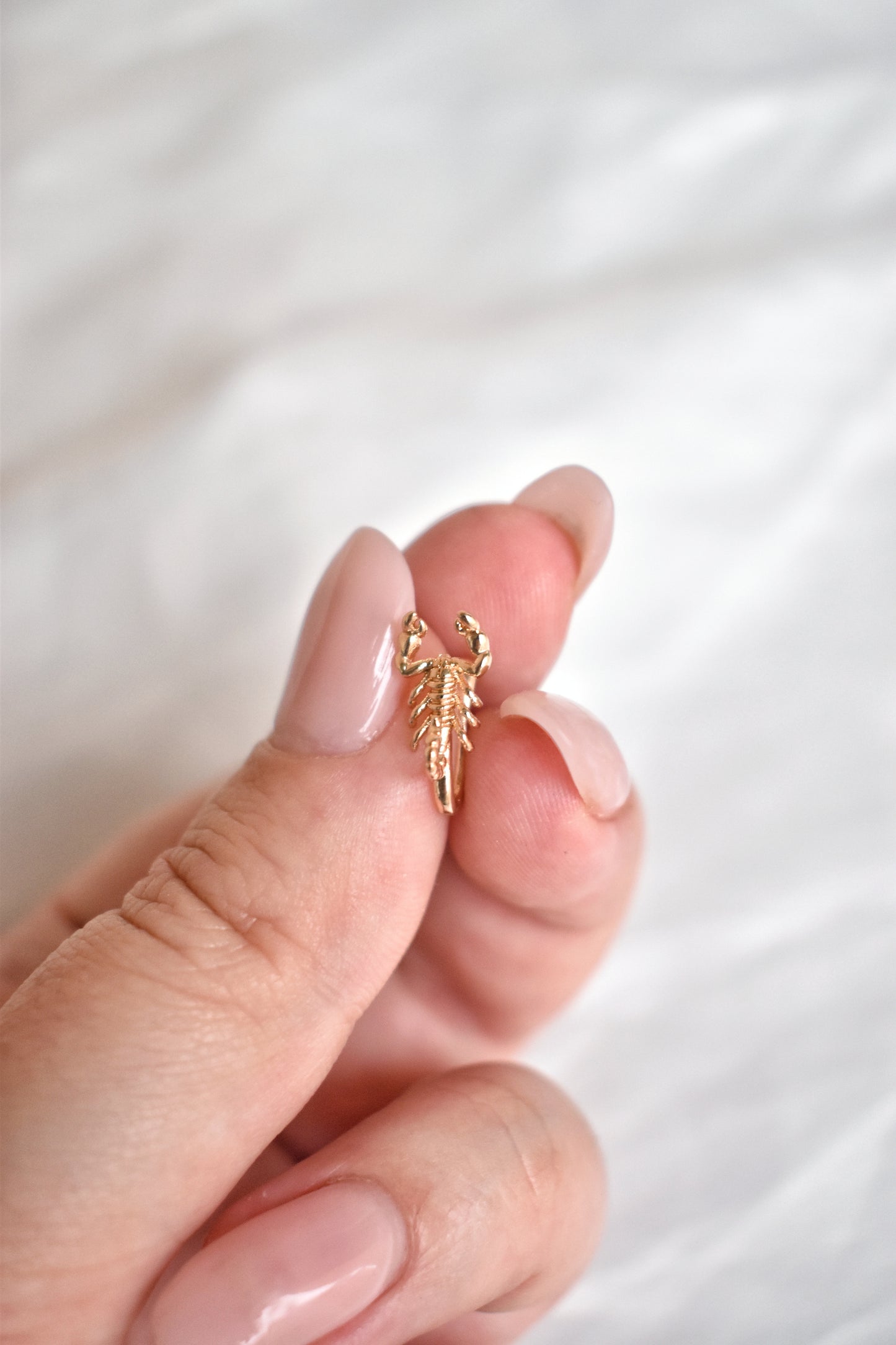 Box manifestazione ✨