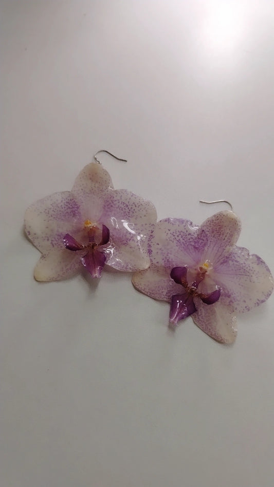 Orecchini orchidea